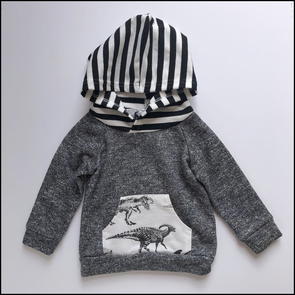 Baby Ball Hoodie Pullover with Dino Graphic